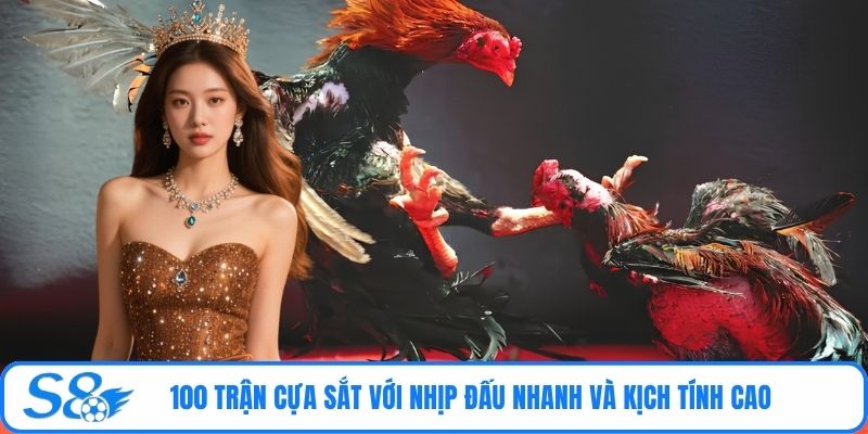 100 trận cựa sắt với nhịp đấu nhanh và kịch tính cao