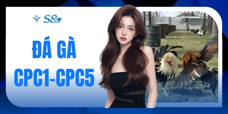 Đá Gà CPC1-CPC5
