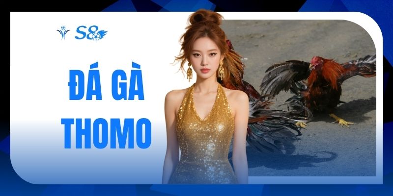 Đá Gà Thomo