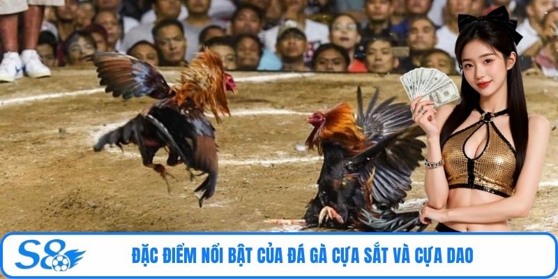 Đặc điểm nổi bật của đá gà cựa sắt và cựa dao