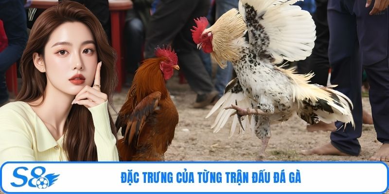Đặc trưng của từng trận đấu đá gà