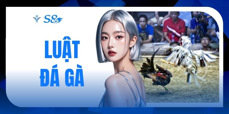 Luật Đá Gà