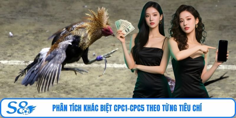 Phân tích khác biệt CPC1-CPC5 theo từng tiêu chí 