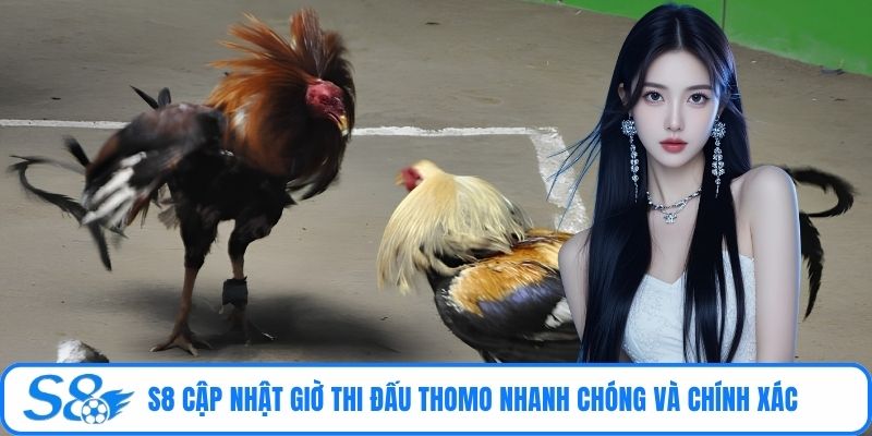 S8 cập nhật giờ thi đấu Thomo nhanh chóng và chính xác 