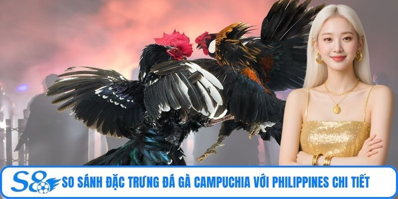 So sánh đặc trưng đá gà Campuchia với Philippines chi tiết