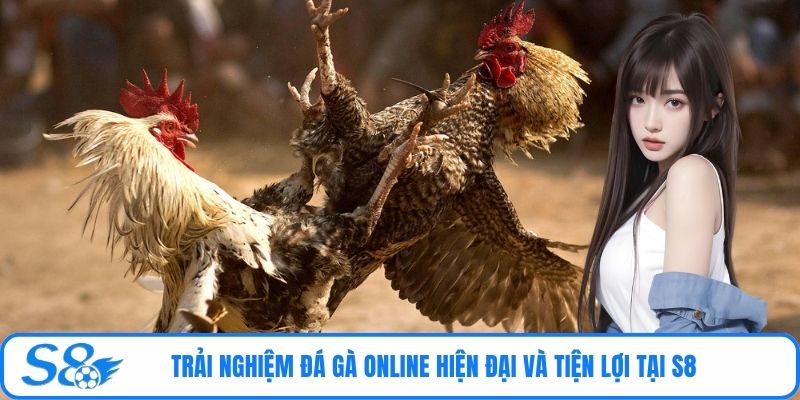 Trải nghiệm đá gà online hiện đại và tiện lợi tại S8
